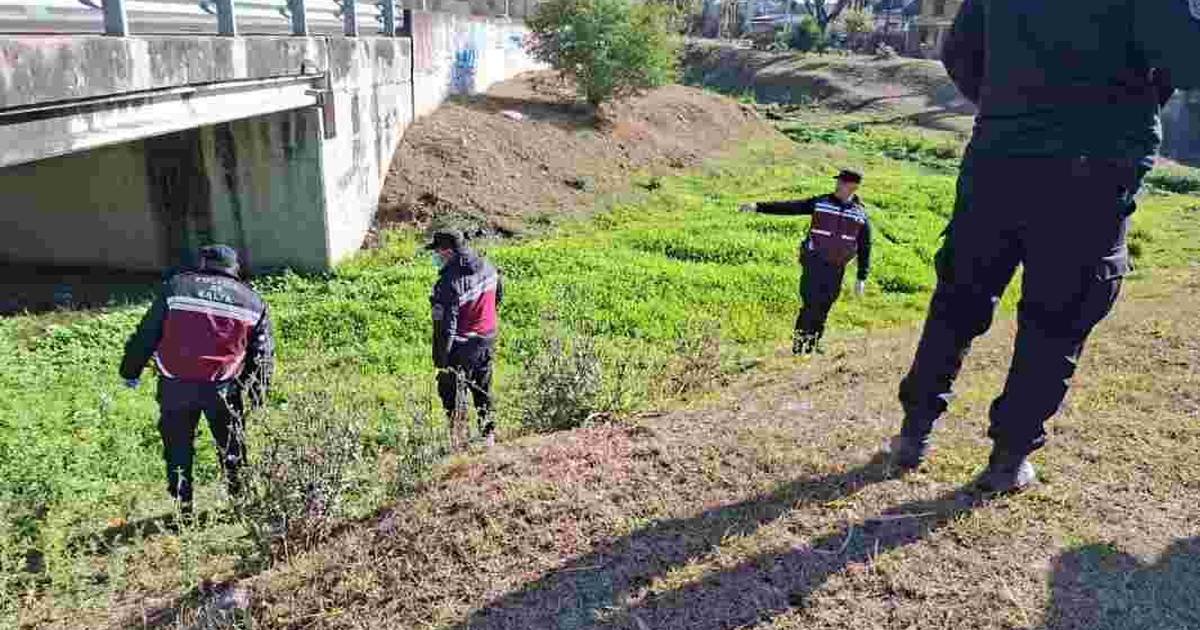 operativo de seguridad