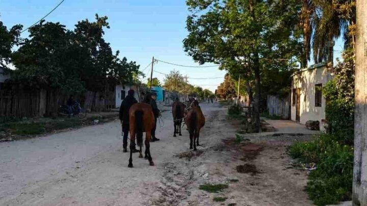 caballos sueltos