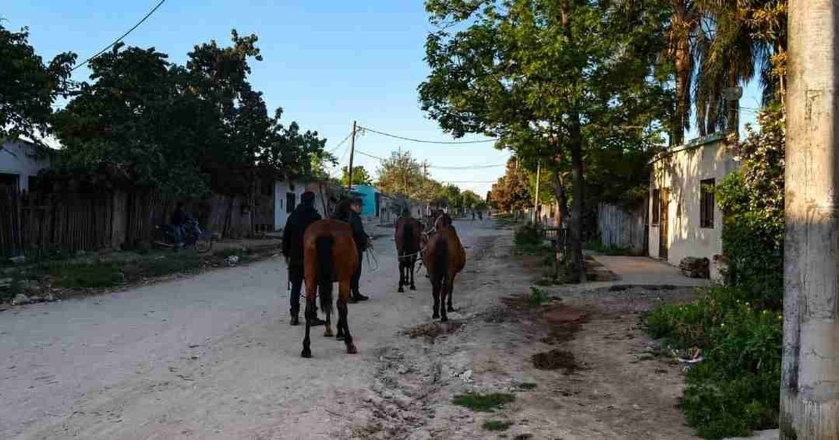 caballos sueltos