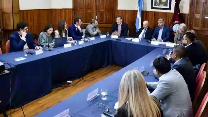 aprovechamiento sustentable de la fibra de vicuña