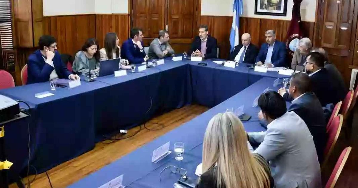 aprovechamiento sustentable de la fibra de vicuña