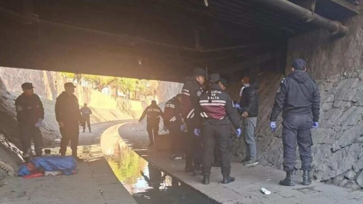 canal Esteco