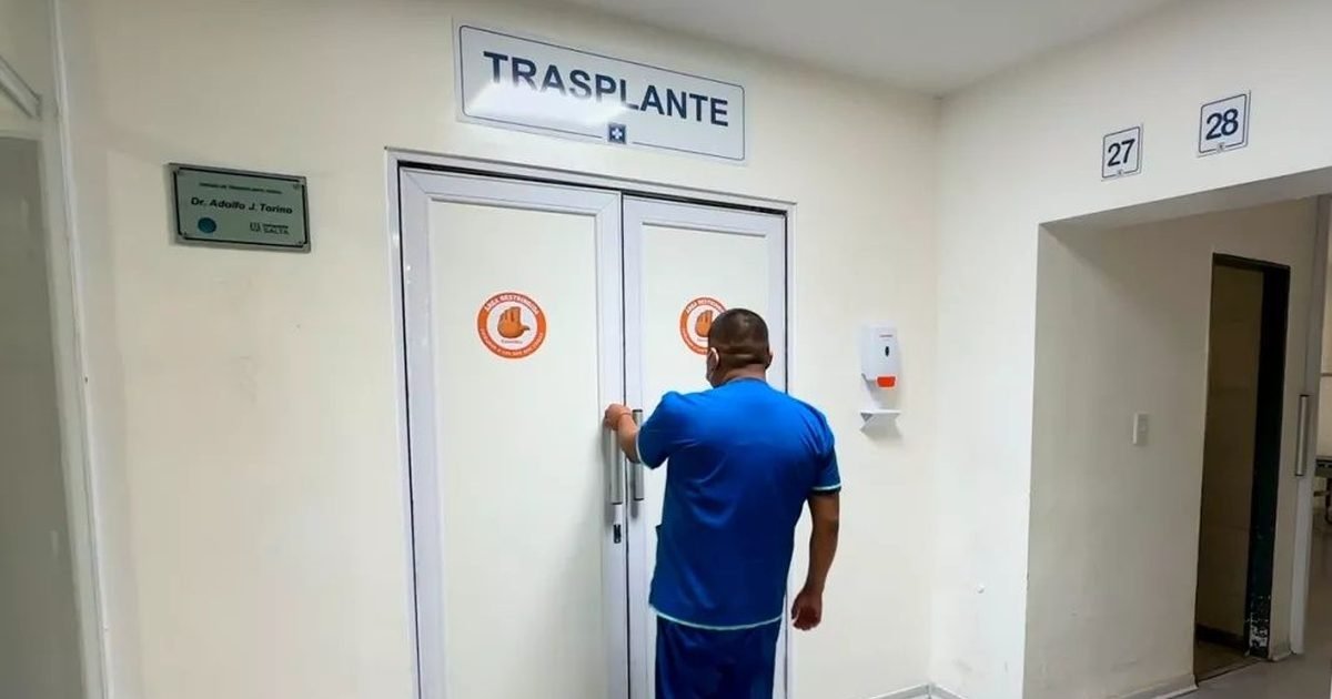 trasplantes renales
