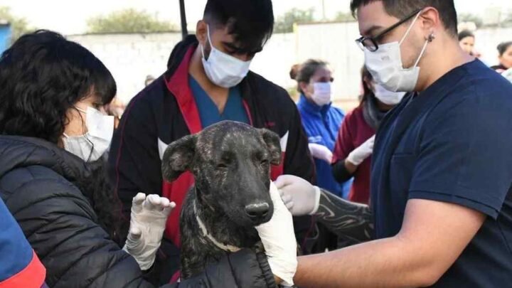 charla sobre Leptospirosis