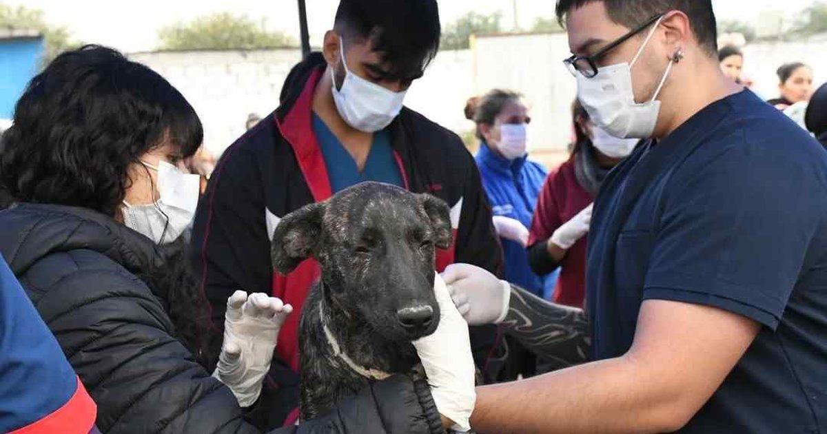 charla sobre Leptospirosis