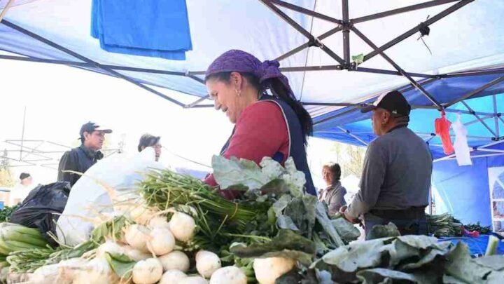 Conocé ofertas encontrarás Mercado tu barrio