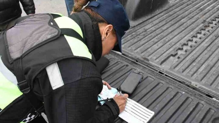 concientización vial