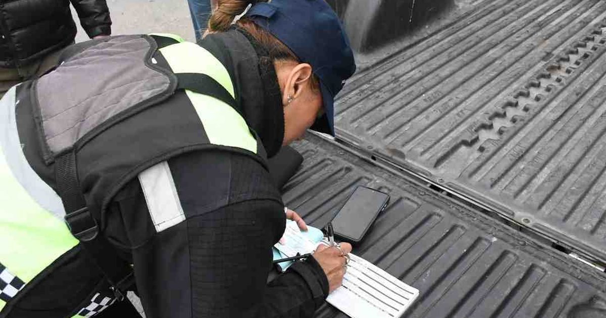 concientización vial