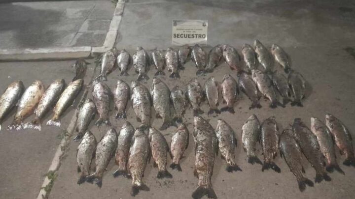 pesca ilegal en Metan