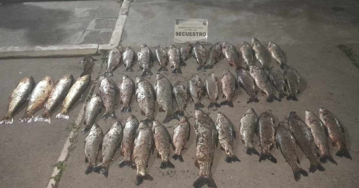 pesca ilegal en Metan