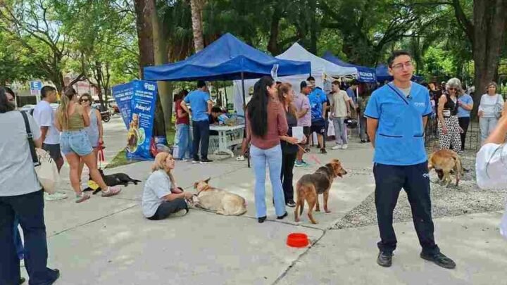 La Muni Animal