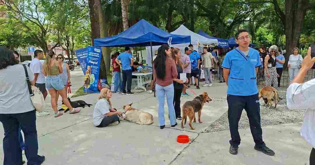 La Muni Animal