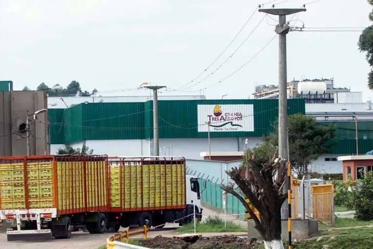 Afirman que Granja Tres Arroyos comenzó a notificar despidos y hablan de entre 250 y 550 trabajadores afectados
