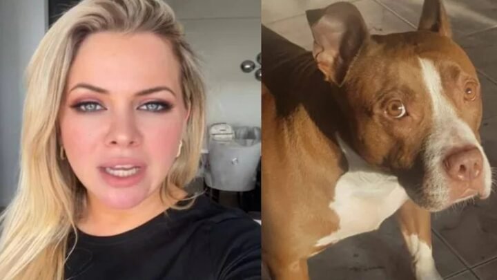 Alejandra Maglietti pidió prohibir la tenencia de pitbulls y generó un fuerte cruce en redes sociales