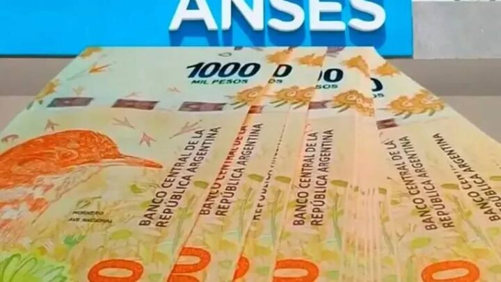 AUH con aumento en septiembre: conocé los nuevos montos y cómo se liquidan los pagos