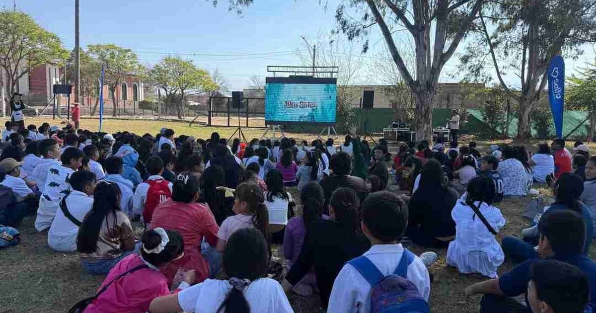 cine al aire libre