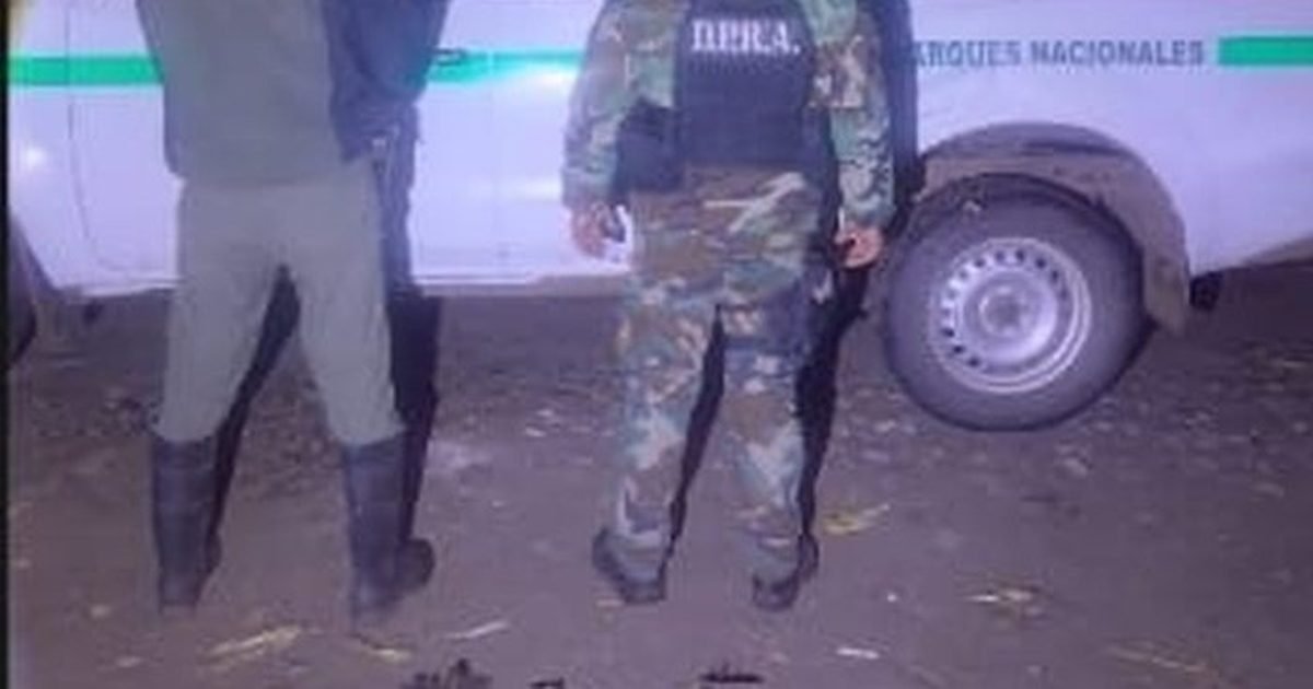caza ilegal en Las Lajitas