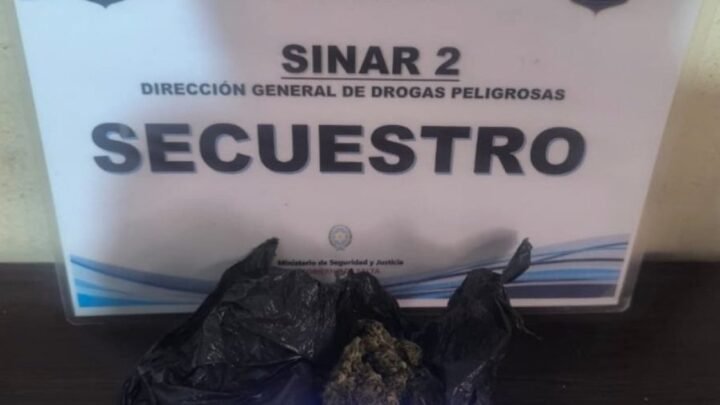 Secuestraron más 290 dosis droga procedimientos