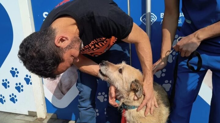Durand confirmó que la iniciativa contra el maltrato animal se llamará "Ley Lola"