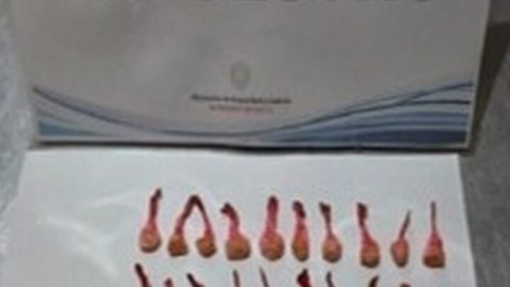 secuestraron cocaína en Cerrillos