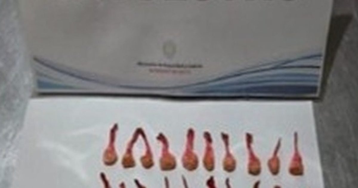 secuestraron cocaína en Cerrillos