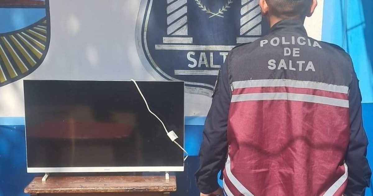 recuperaron un televisor