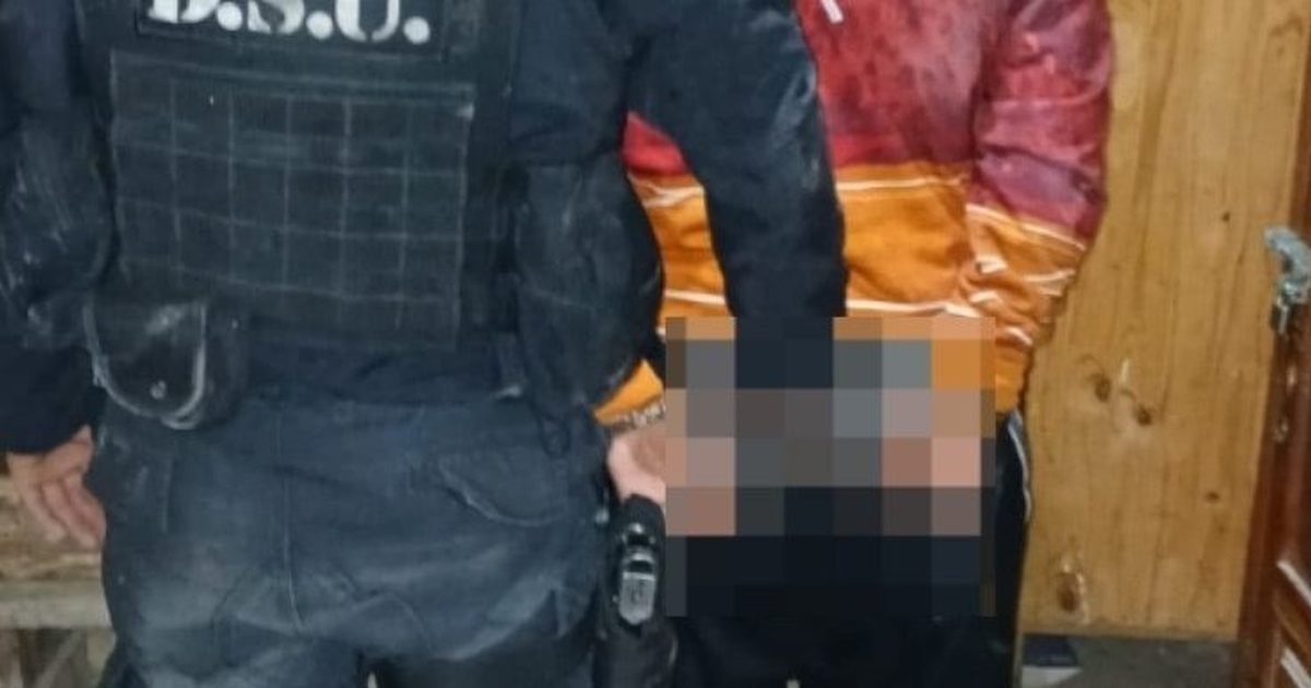 hurto calificado en barrio Democracia