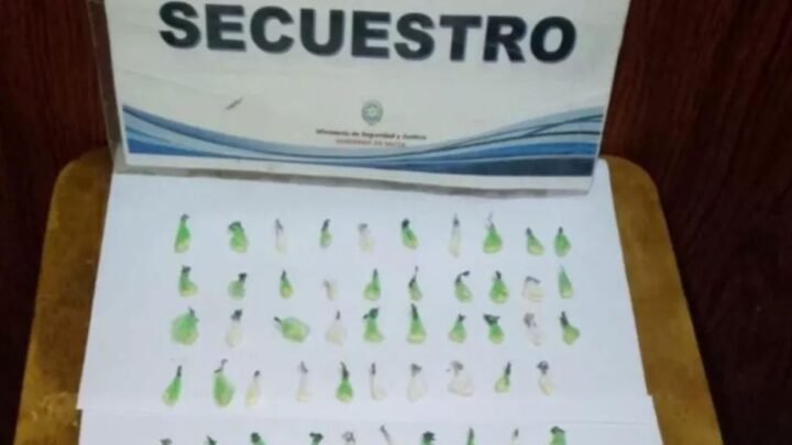 incautación de droga en Salta