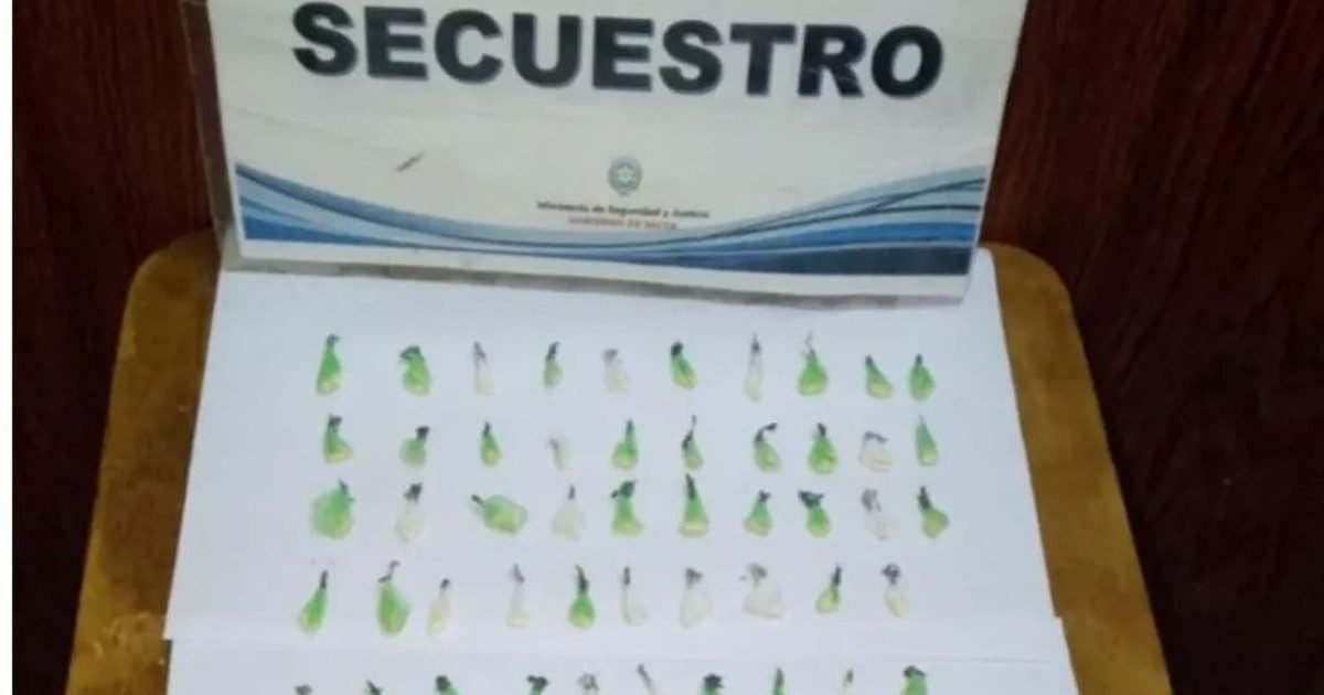 incautación de droga en Salta