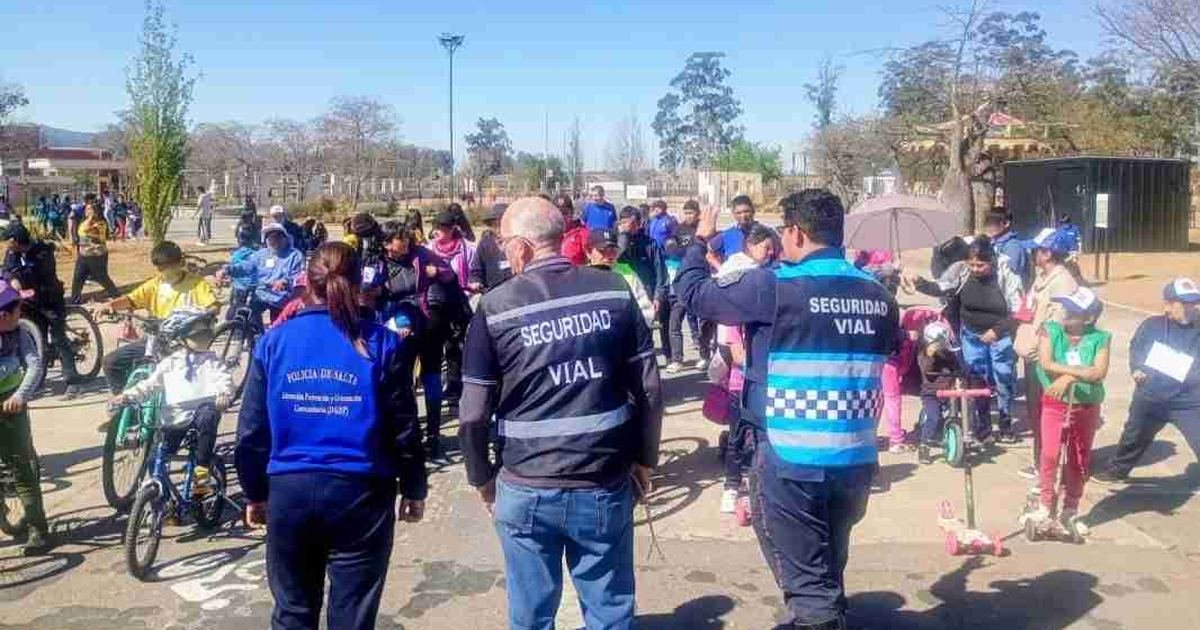 seguridad vial