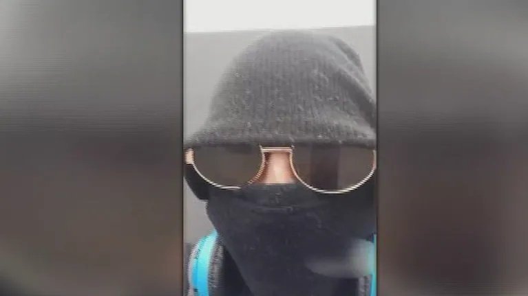 Detuvieron a un hombre acusado de amenazar de muerte a Javier Milei: en su casa secuestraron réplicas de fusiles