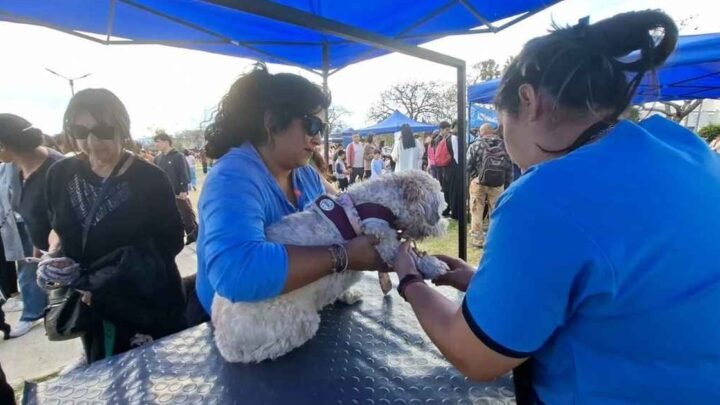Muni Animal acercó servicios promovió adopción