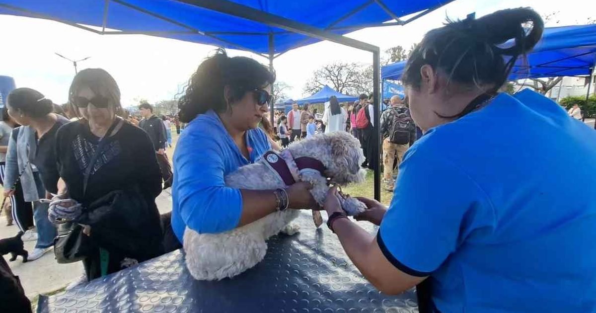 Muni Animal acercó servicios promovió adopción