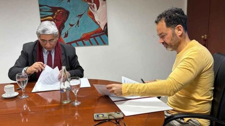 practicas profesionales UNSa