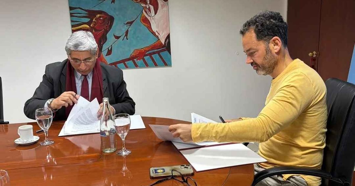 practicas profesionales UNSa