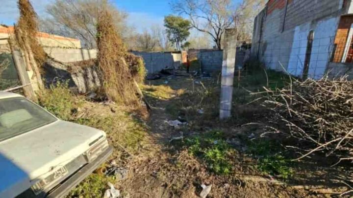 El desgarrador relato de la mamá del nene que murió tras ser atacado por un pitbull: “Lo que yo vi es tremendo”