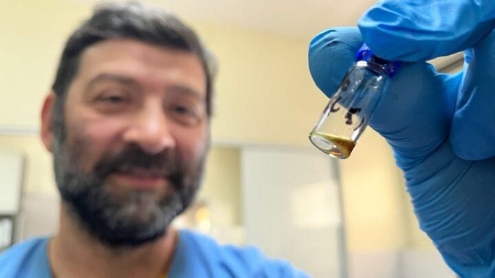 El Laboratorio del CIF obtuvo resultados satisfactorios en ensayos internacionales