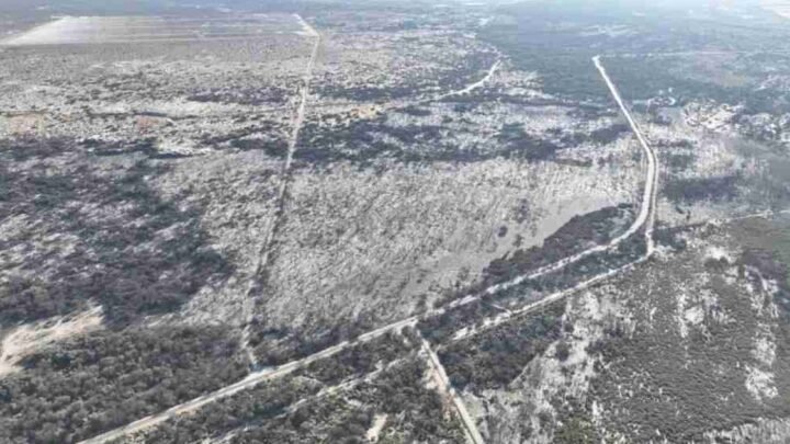 incendios forestales en Salta