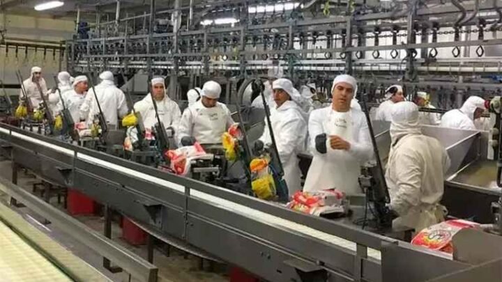 Granja Tres Arroyos ratificó 270 despidos y trabajadores convocaron a una protesta urgente
