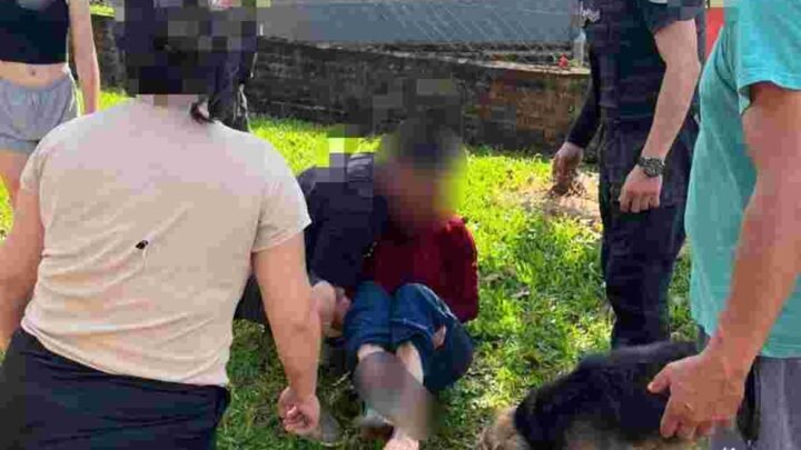 Tragedia en Misiones: una mujer de 93 años murió tras ser atacada por un perro en Santa Ana