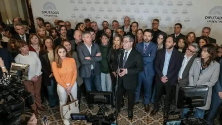 La oposición en Diputados impulsa una sesión especial por discapacidad y el endeudamiento familiar