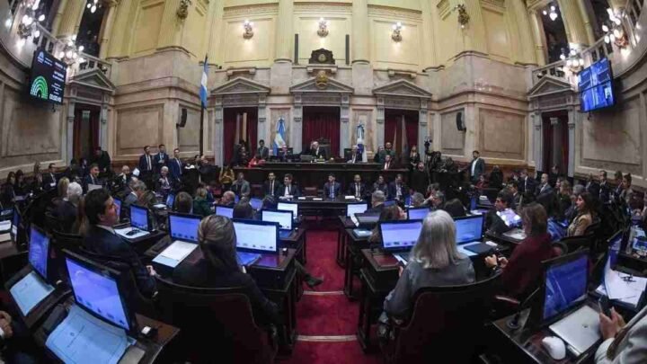 Media sanción en el Senado a la Ley de Propiedad Privada, pero sin Tierras ni Manejo del Fuego