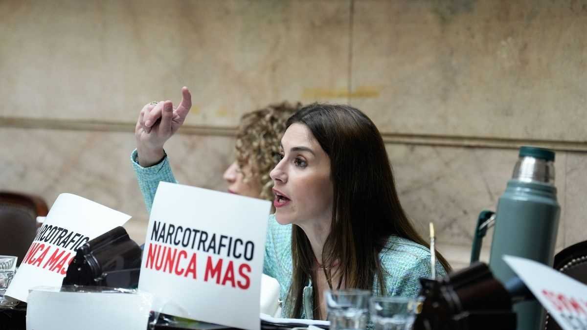 Denuncian una sospechosa sincronización entre pagos del Sistema Vial Integrado y votaciones en el Congreso