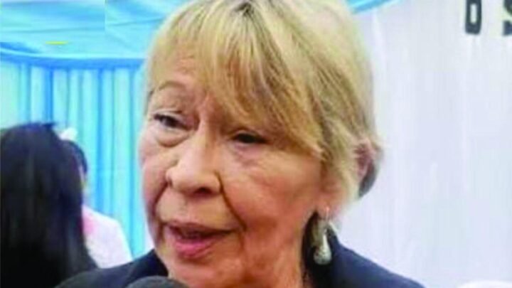 Orán: exigen sanciones contra la concejal Mirta Copes por sus expresiones “clasistas” y despectivas