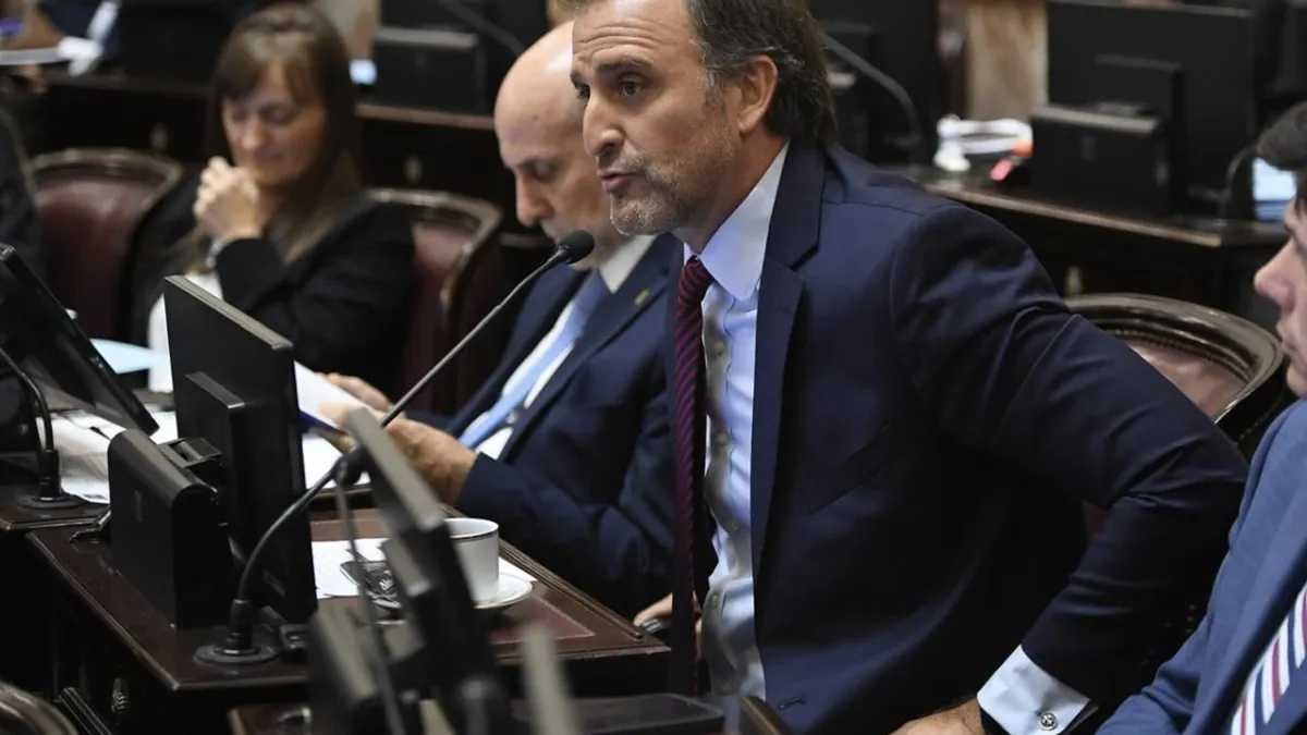 Polémica en la Cámara alta: el senador Joaquín Benegas Lynch encabeza empresa que asesora a extranjeros en la compra de