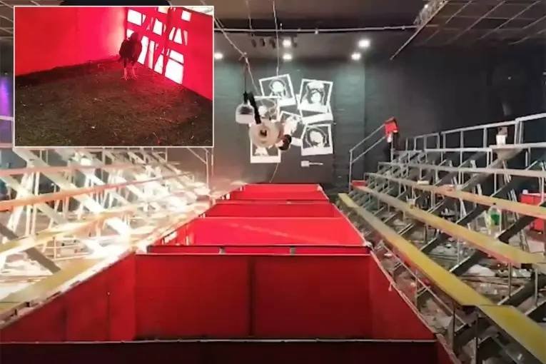 Desbarataron una red de riñas clandestinas en Brandsen: rescataron más de 100 gallos