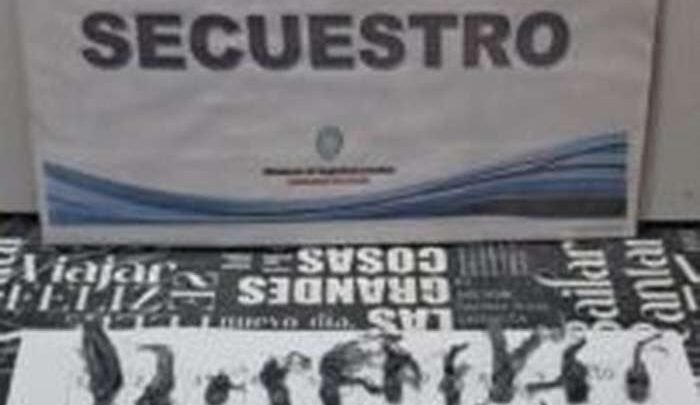 Rosario de la Frontera: Fue imputado por comercializar sustancias estupefacientes