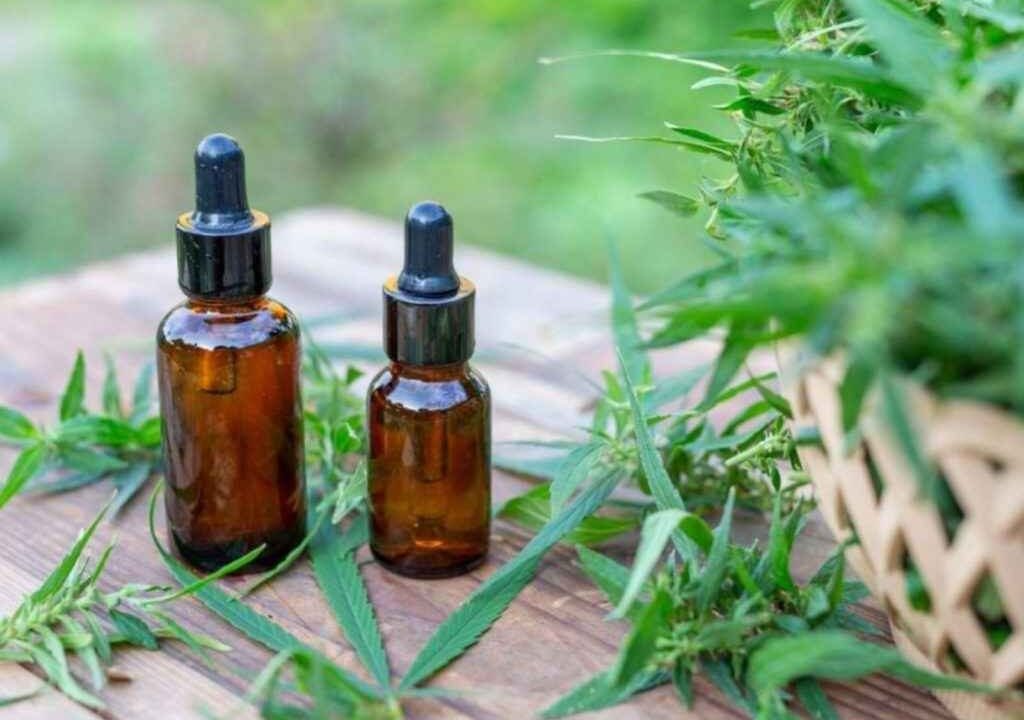 cannabis medicinal Salta reglamentó uso habilitan autocultivo