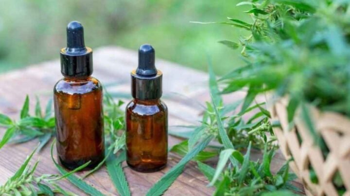 cannabis medicinal Salta reglamentó uso habilitan autocultivo