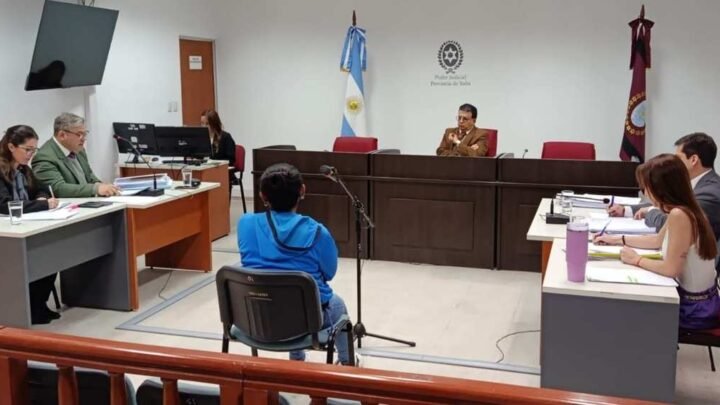 Condenaron a una mujer por el homicidio de su pareja en un contexto de violencia en Tartagal